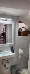 罗克Roč Holiday Home的一间带水槽和镜子的浴室