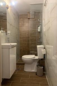 拉里萨Casa D'oro Α2的浴室配有卫生间、盥洗盆和淋浴。
