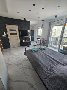 波兹南Apartament Malta的一间卧室配有一张大床和电视
