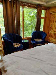 KhapaluNorth Palace Khaplu的一间卧室配有2把蓝色椅子和1张床