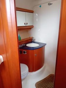 巴里Bari Boat的一间带卫生间和水槽的小浴室