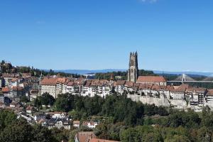 弗里堡Proche de la cathédrale, logement的享有一座带桥梁和建筑的城市美景