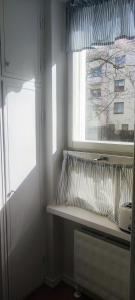 赫尔辛基Eskolampi的窗户,房间,有枕头,放在架子上
