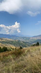 地拉那VILA DISHA的享有山丘的背景景色