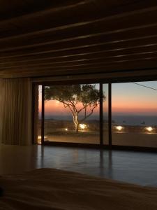 阿吉亚艾里尼帕罗Mythic Paros , Adults Only的一间窗户的房间,俯瞰着一棵树