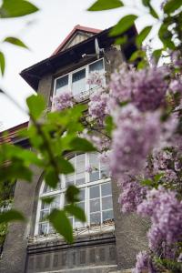 克拉科夫29 Avenue Apartments的白色窗户和紫色花卉的建筑