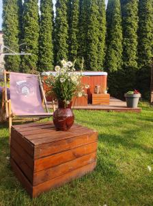 桑多梅日Lawendowo- sauna jacuzzi domki w ogrodzie i apartamenty w kamienicy的木桌上方的花瓶