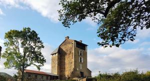 MontégutChateau Montegut dans la vallée des Pyrénées的一座建筑物顶部的旧砖塔