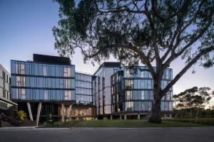 墨尔本Element Melbourne Richmond的一座大型玻璃建筑,前面有一棵树