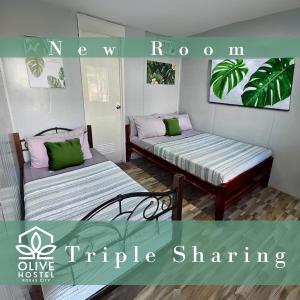 罗哈斯城Olive Hostel Roxas City的绿粉色客房的两张床