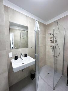 格拉茨Grazora Living Apartments的一间带水槽和淋浴的浴室