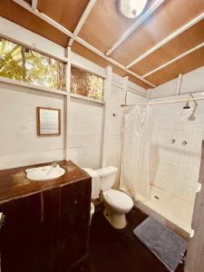 里约杜尔塞HOTEL BACKPACKERS RIO DULCE的浴室配有卫生间、盥洗盆和淋浴。