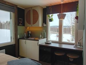 罗瓦涅米Experience accommadation Eco-Unela的带柜台和2扇窗户的厨房
