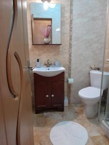 北马马亚-讷沃达里Ap Hector的一间带水槽和卫生间的浴室