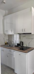 奥林匹亚达Elena Apartments的白色的厨房配有水槽和白色橱柜