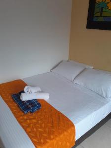 比亚维森西奥Hotel Najjez的一张带两个枕头的床和毛巾