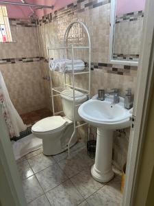 圣玛丽Seaview Villa的一间带卫生间和水槽的浴室