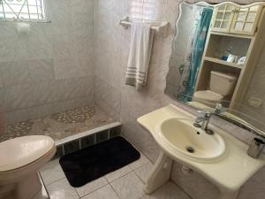 圣玛丽Seaview Villa的白色的浴室设有水槽和卫生间。