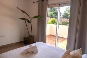 恩卡纳西翁Habitaciones con amplia terraza的一间卧室配有一张床和一个植物窗户