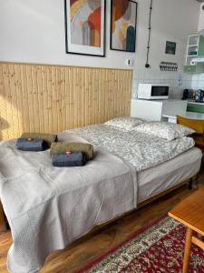 弗罗茨瓦夫Lux Lotnisko的一张床上有两个枕头的房间