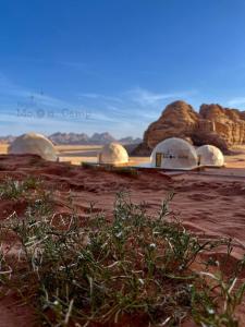 瓦迪拉姆Rum Bright Moon Camp的享有沙漠美景,设有圆顶天文台