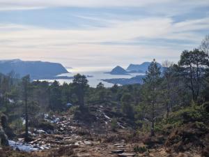 奥勒松Cozy Retreat in the Heart of Ålesund的享有森林的山景