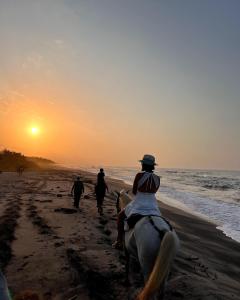 GuachacaSierra Sagrada Tayrona的日落时在海滩上骑马的人