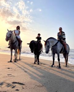 GuachacaSierra Sagrada Tayrona的三人在海滩上骑马