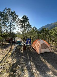 Los LiriosCamping en la Sierra de Arteaga的田野里的帐篷和桌椅