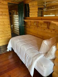 阿拉莫萨The Gratitude Homestay的小木屋内一间卧室,配有一张床