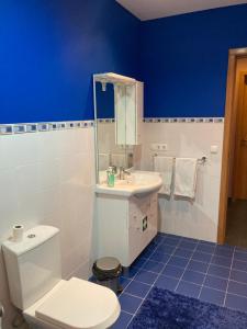 富尔纳斯Quinta de Santana - Queimadas的蓝色和白色的浴室设有卫生间和水槽