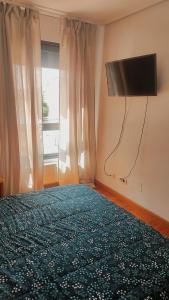 潘普洛纳Habitación Renfe的一间卧室设有一张床、一台电视和一个窗口。