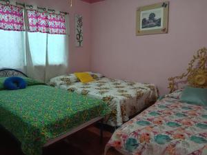 埃尔巴列德安通Villa la paz的一间卧室设有两张床,窗户配有窗帘