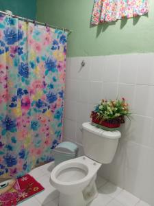 埃尔巴列德安通Villa la paz的一间带卫生间和淋浴帘的浴室
