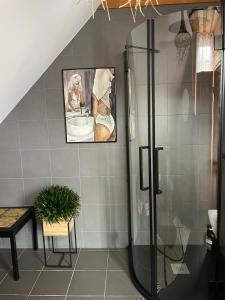 采西斯Rakši的带淋浴的浴室和水槽内狗的照片