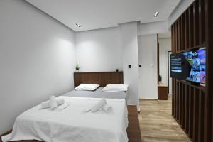 塞萨洛尼基Thessaloniki Amazing Apartment的一间卧室配有两张床和一台平面电视