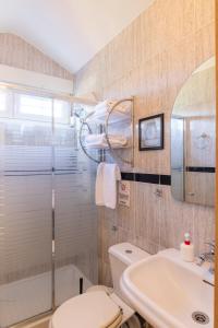 CutiellosSpa Rural Mirador de Miranda的浴室配有卫生间、盥洗盆和淋浴。