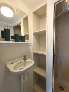 科特布斯Tinyhaus idyllisch am Waldesrand的白色的浴室设有水槽和淋浴。