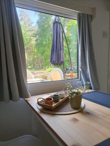 科特布斯Tinyhaus idyllisch am Waldesrand的窗口顶上一张桌子,上面有盘子的食物