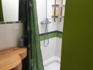 AnianeAu Rendez-Vous des Sorciers II的一间带绿色淋浴帘的淋浴的浴室