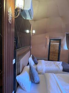 瓦迪拉姆Wadi Rum Grand的一间设有两张床和电视的客房