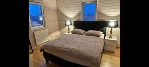 盖锡尔Adventure Eagle Cottege的一间卧室配有一张床,两盏台灯放在两张桌子上