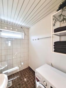 赖皮纳Räpina Apartment的一间带水槽和洗衣机的浴室