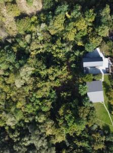 卡缅涅茨-波多利斯基Cottages Family Estate的森林中房屋的顶部景观