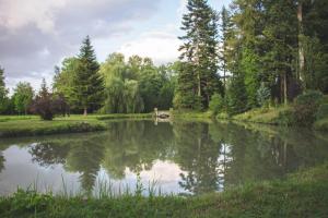 CholoyChâteau de Choloy的树下公园的池塘
