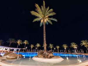 维拉西米乌斯Pullman Almar Timi Ama Resort & Spa的棕榈树在泳池中间的夜晚