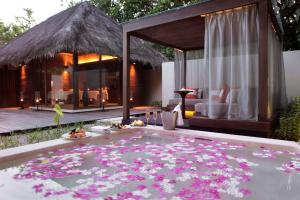 加弗阿利夫环礁马尔代夫柏悦酒店的别墅,设有游泳池,上面有粉红色的花朵