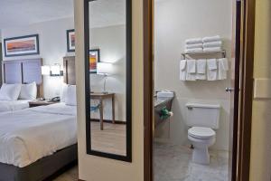 米兰诺米兰诺桑德斯基品质酒店的酒店客房设有一张床和一个卫生间。