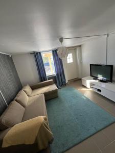 吕勒奥Lägenheter i Luleå的带沙发和平面电视的客厅