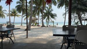 Phumĭ Kaôh RŏngKoh RhongSunshine Resort2的棕榈树海滩上的两张桌子和大海